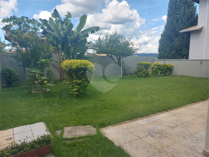 Foto REO936385