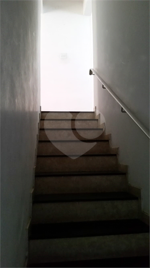 Foto REO936473