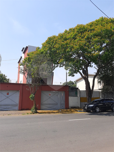 Foto REO936476