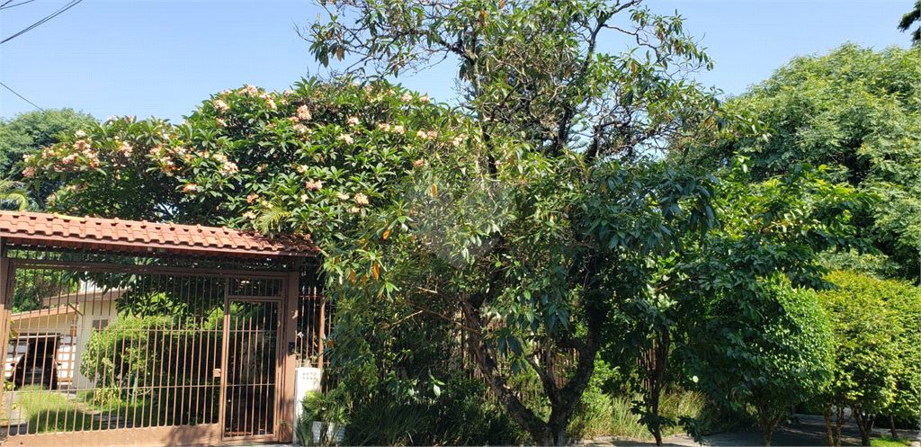 Venda Casa térrea São Paulo Lapa REO936494 1