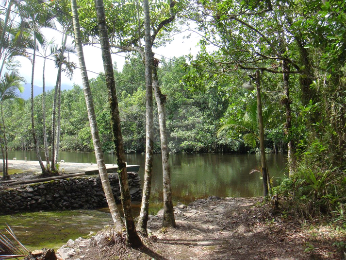 Venda Condomínio Bertioga Morada Da Praia REO936533 15