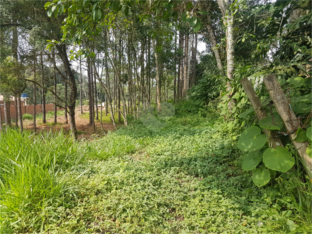 Venda Terreno São Paulo Chácara Santo Hubertus REO936709 8