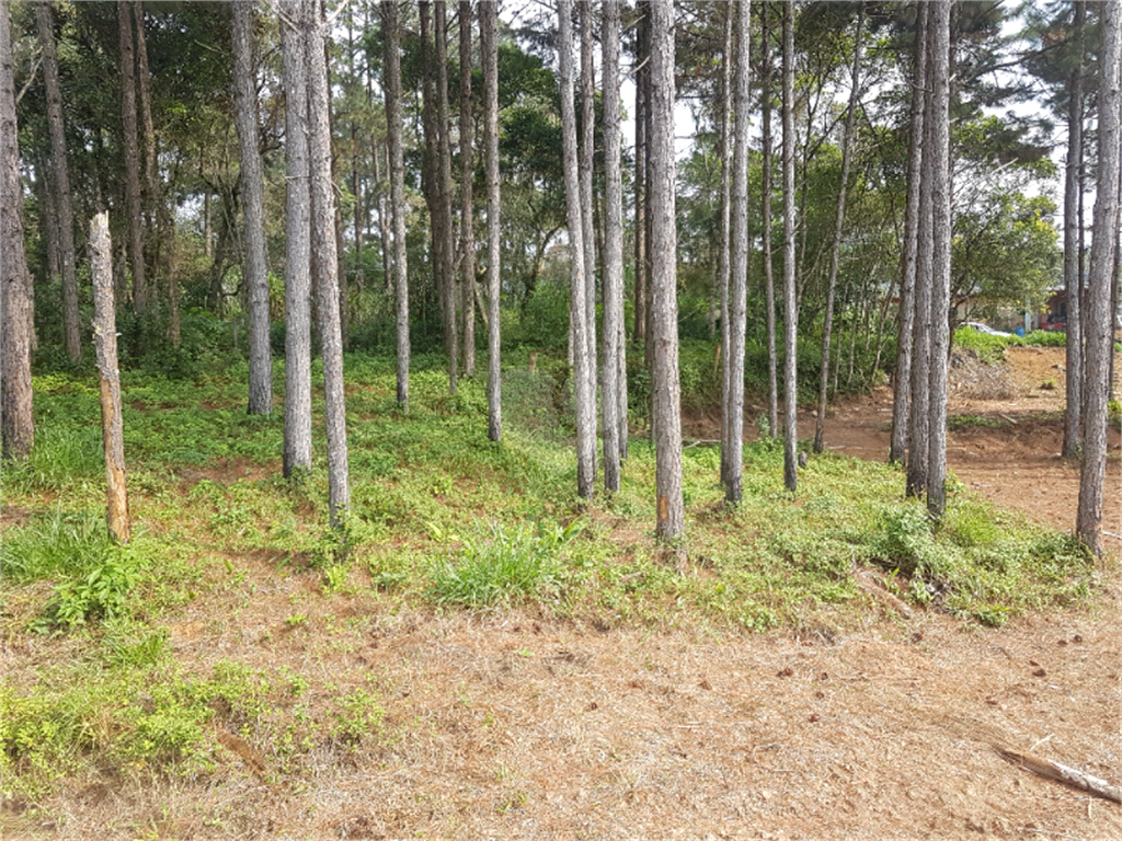 Venda Terreno São Paulo Chácara Santo Hubertus REO936709 5