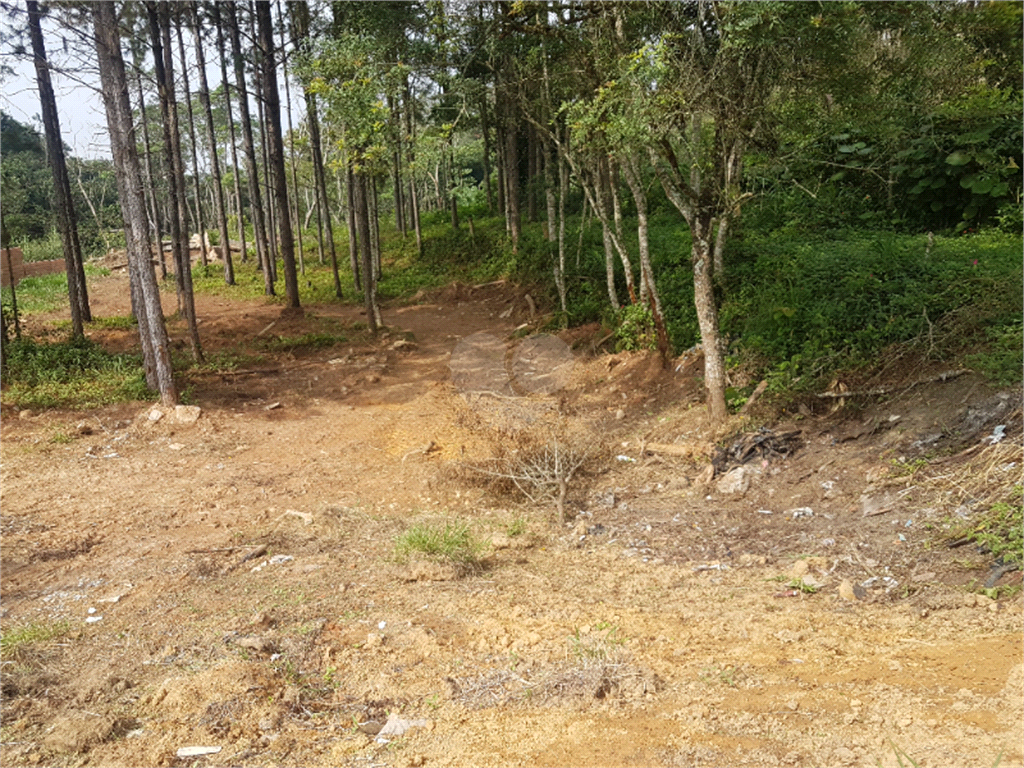 Venda Terreno São Paulo Chácara Santo Hubertus REO936709 7