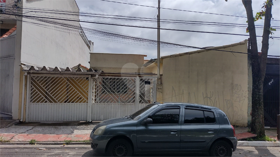 Foto REO936726