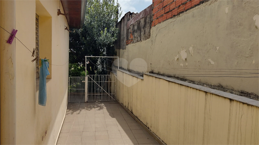 Foto REO936726