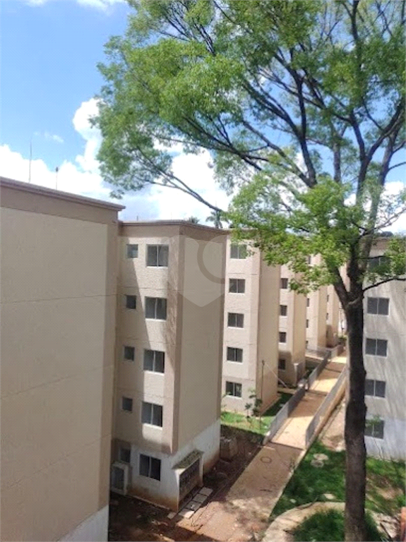 Venda Apartamento São Paulo Jardim Recanto Verde REO936739 14