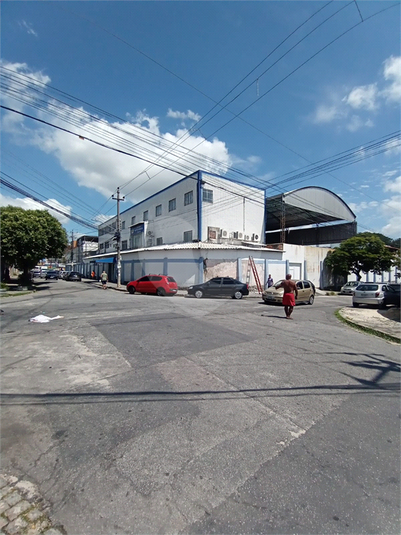 Foto REO936845