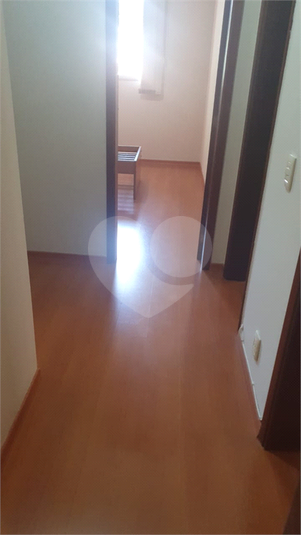 Venda Apartamento Campinas Cambuí REO937104 14