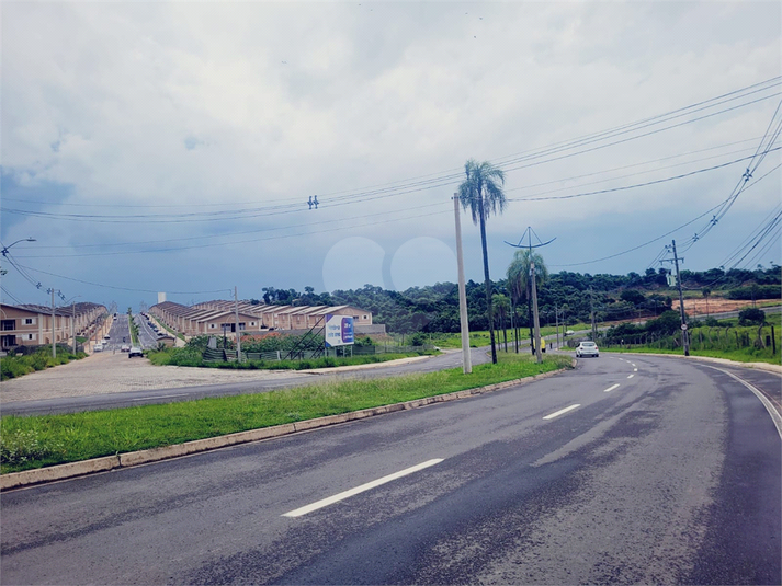 Foto REO937309