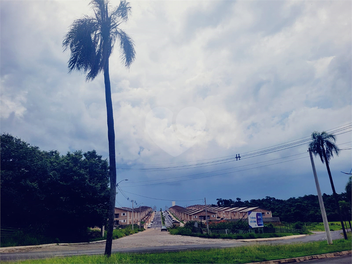 Foto REO937309
