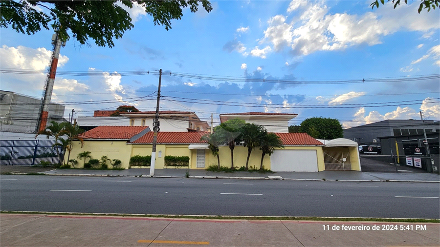 Foto REO937581