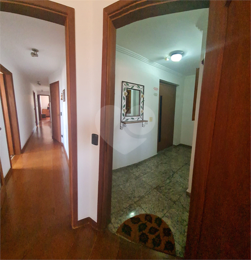 Foto REO938202