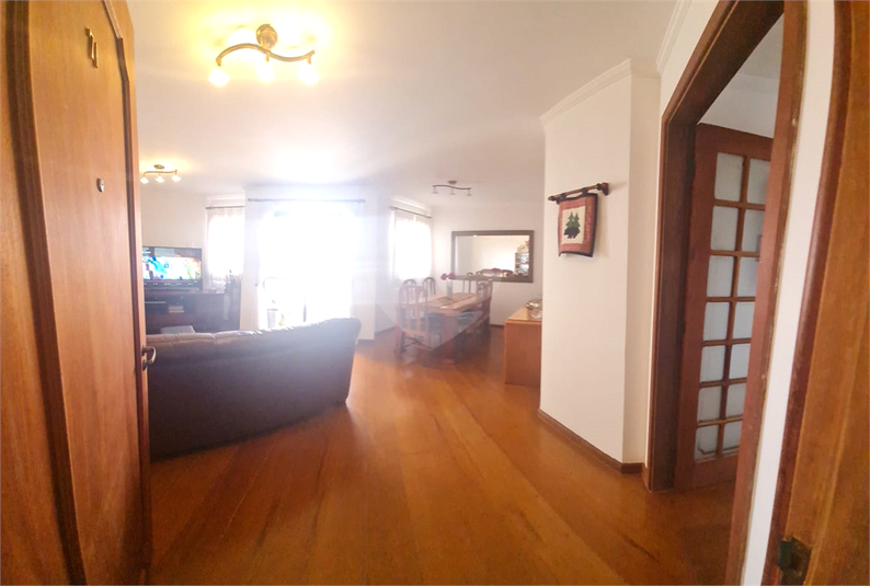 Foto REO938202