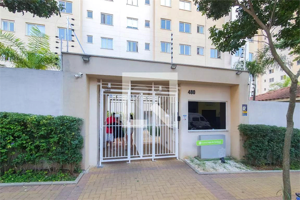 Venda Apartamento São Paulo Cambuci REO938836 36