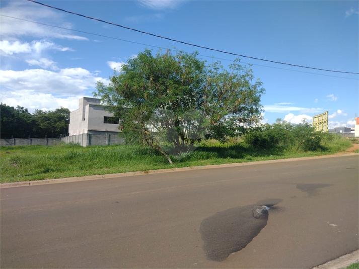 Foto REO938975