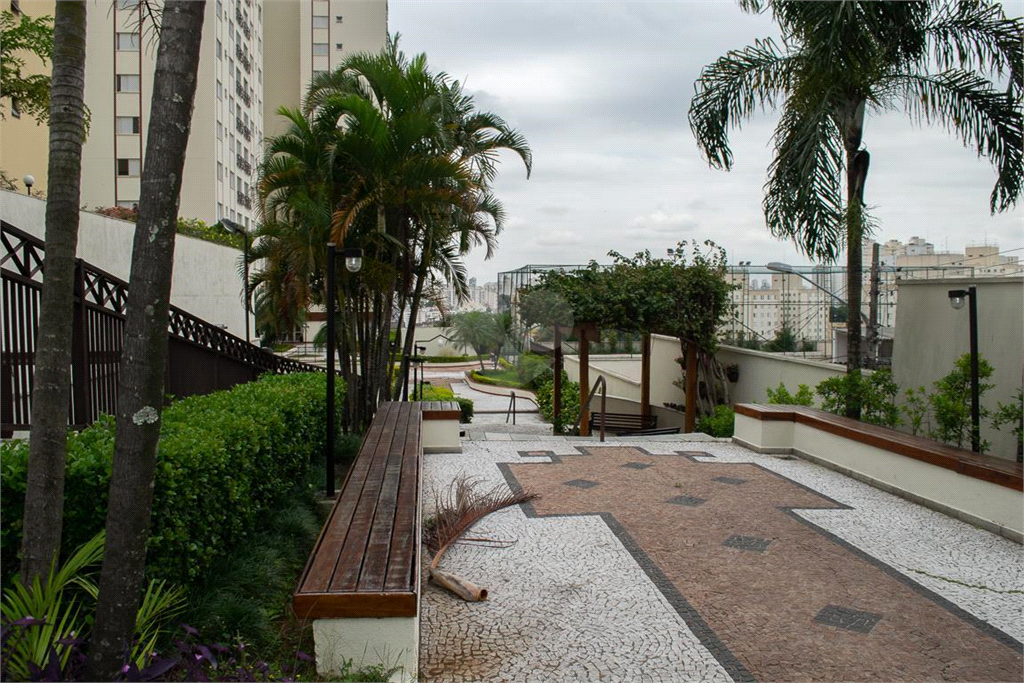 Venda Apartamento São Paulo Vila Nova Cachoeirinha REO939243 31