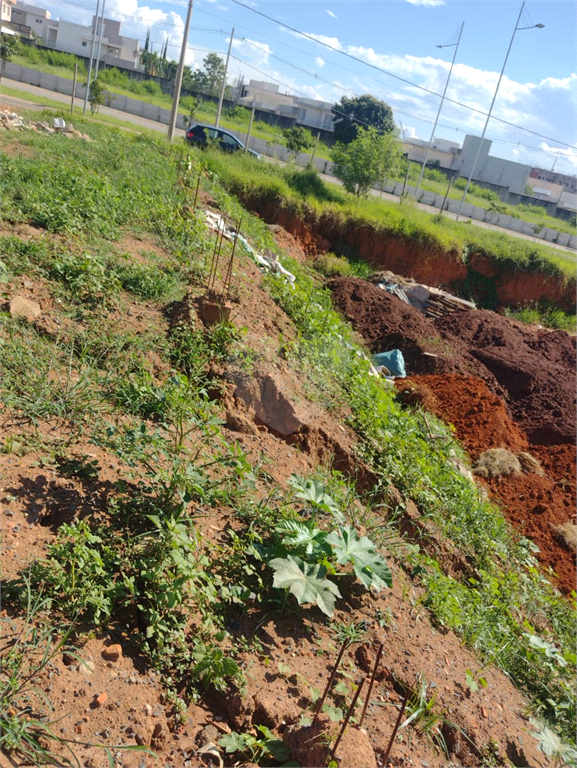 Aluguel Terreno Hortolândia Residencial Jardim Do Jatobá REO939407 6