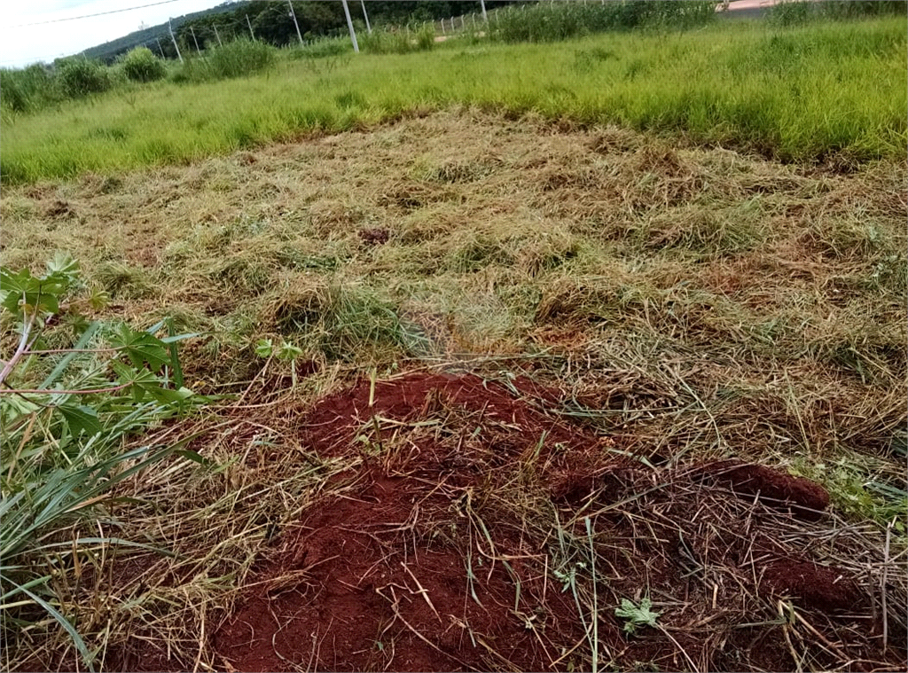 Venda Terreno Lençóis Paulista Residencial Villacittá REO939453 3