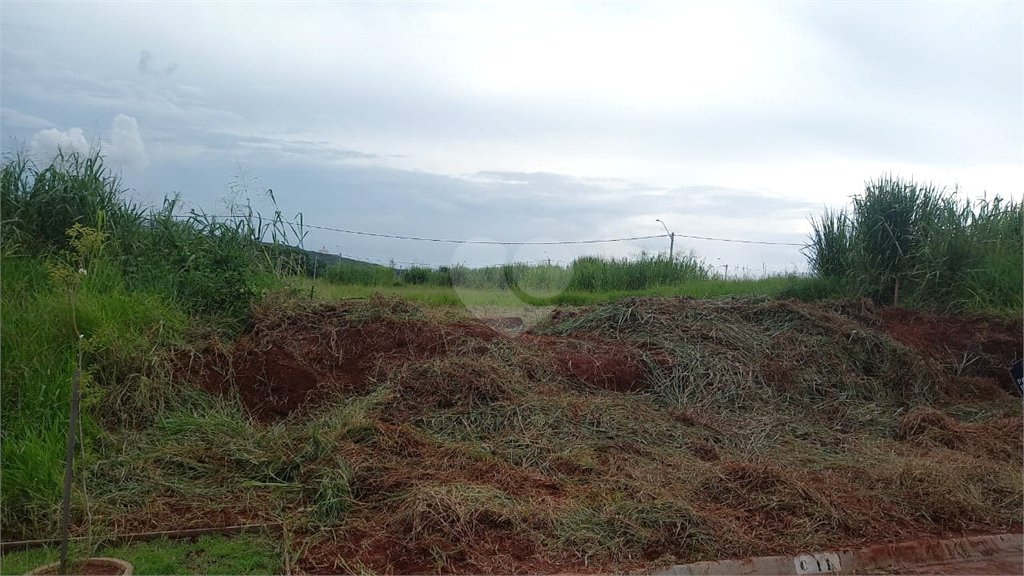 Venda Terreno Lençóis Paulista Residencial Villacittá REO939453 2