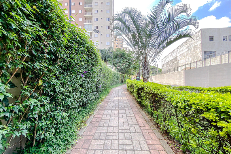Foto REO939621