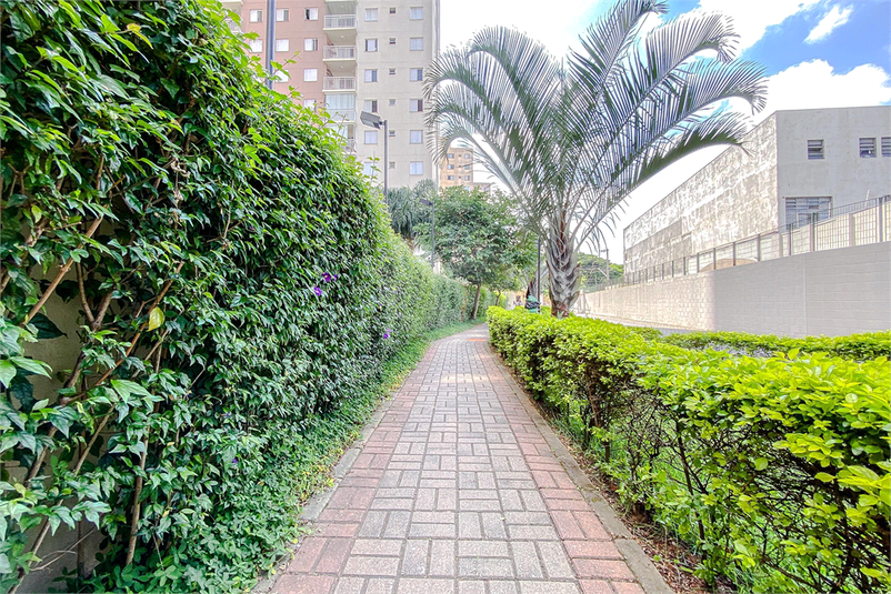 Venda Apartamento São Paulo Brás REO939621 51