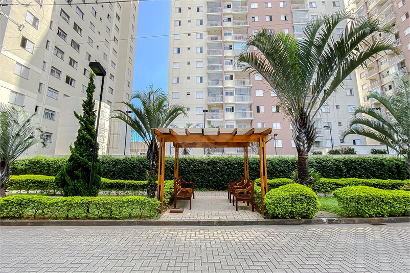 Foto REO939621
