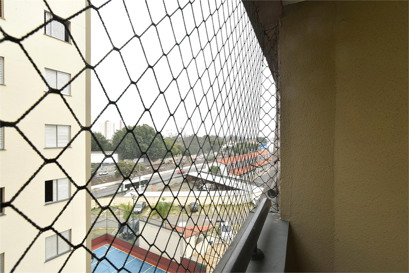Foto REO939820