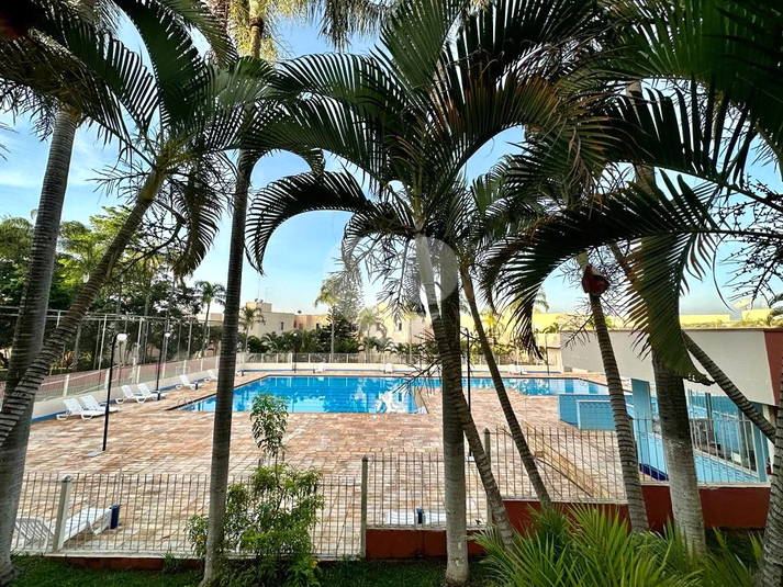 Venda Apartamento Campinas Vila Castelo Branco REO940171 1