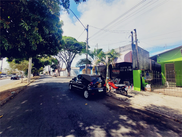Foto REO940294