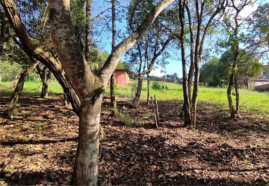 Venda Terreno Jarinu Caioçara REO940369 8