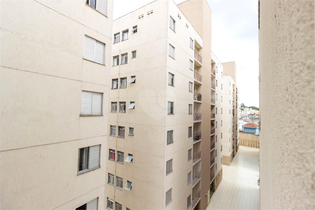 Venda Apartamento São Paulo Vila Mazzei REO940456 17