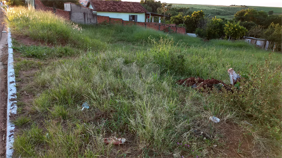 Foto REO940852