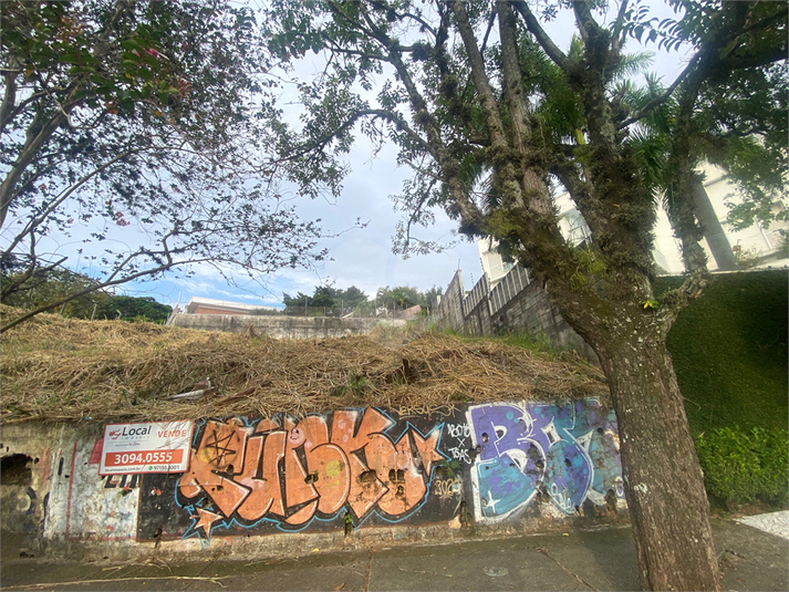 Foto REO940992