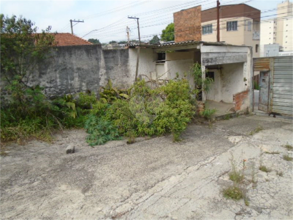 Aluguel Terreno São Paulo Vila Santa Clara REO941004 18