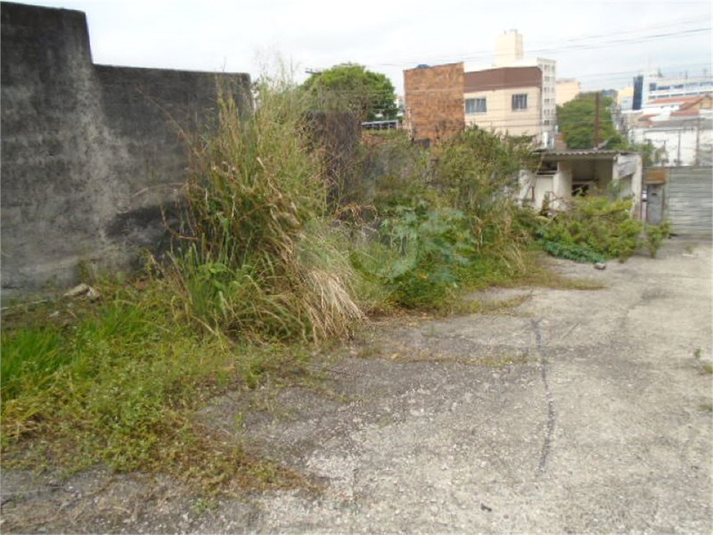 Aluguel Terreno São Paulo Vila Santa Clara REO941004 14