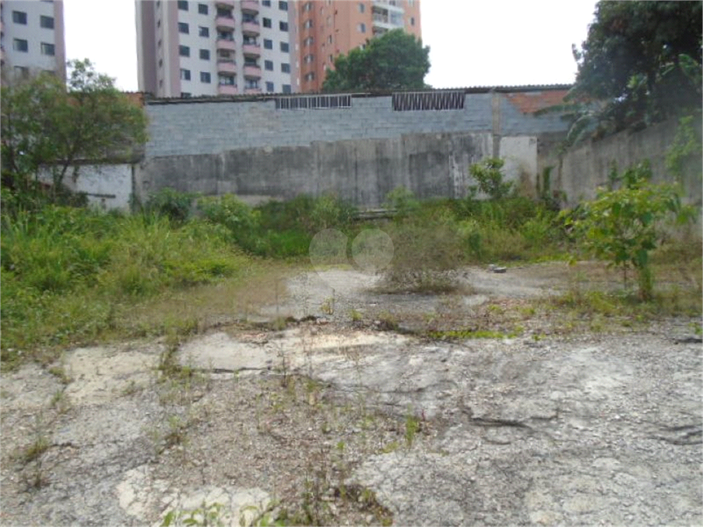 Aluguel Terreno São Paulo Vila Santa Clara REO941004 7