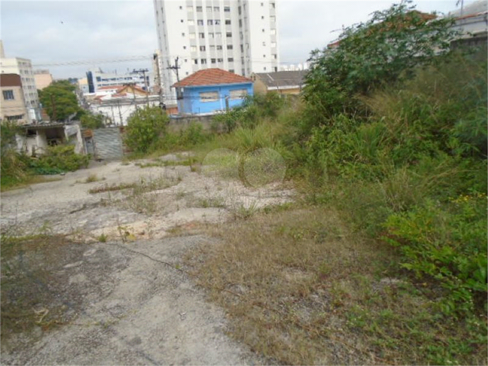 Aluguel Terreno São Paulo Vila Santa Clara REO941004 13