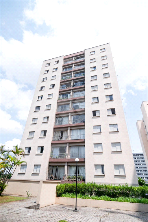 Venda Apartamento São Paulo Nova Piraju REO941218 47