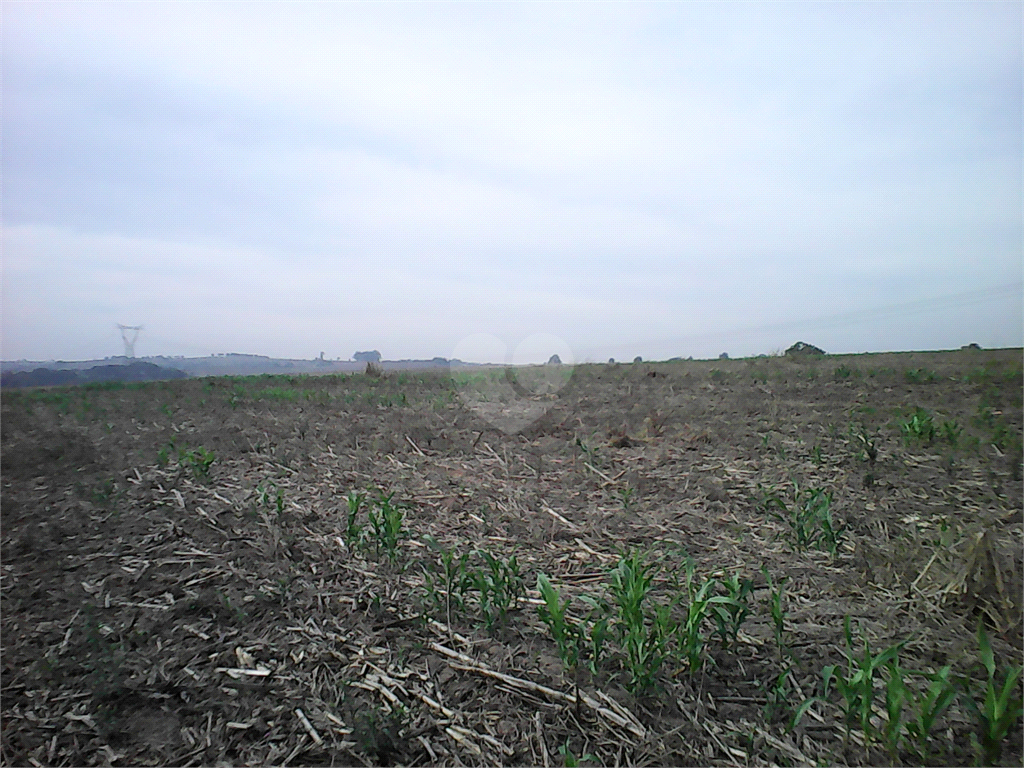 Venda Área de Terra Sumaré Área Rural De Sumaré REO942036 1