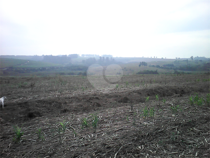 Venda Área de Terra Sumaré Área Rural De Sumaré REO942036 9