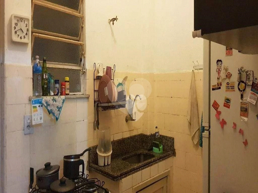 Venda Apartamento Rio De Janeiro Riachuelo REO942139 12