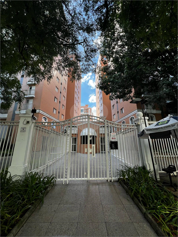 Venda Apartamento São Paulo Bela Aliança REO942361 1