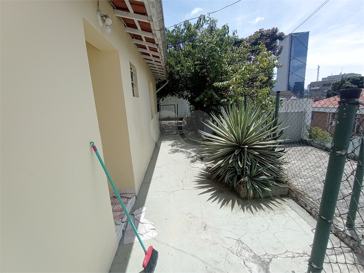 Foto REO942381