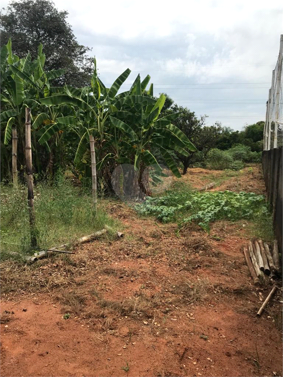 Venda Chácara Agudos Chácaras Nova Califórnia REO942546 45