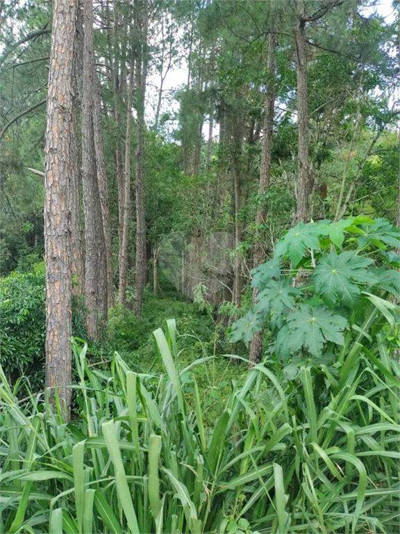 Venda Área de Terra Jundiaí Jardim Tarumã REO942664 18