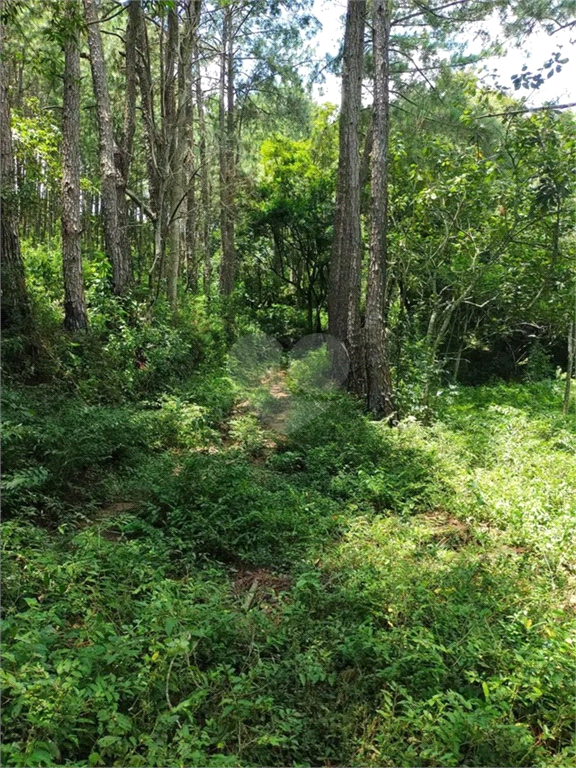 Venda Área de Terra Jundiaí Jardim Tarumã REO942664 5