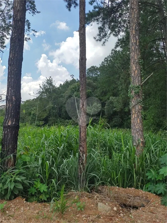 Venda Área de Terra Jundiaí Jardim Tarumã REO942664 15