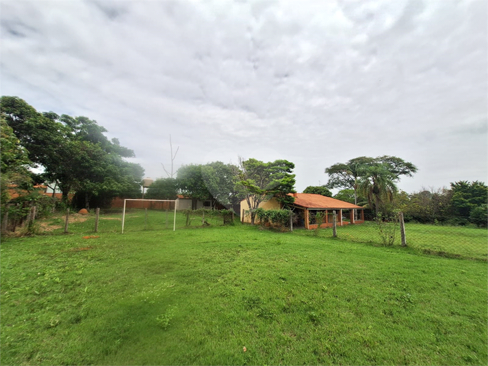 Foto REO942836