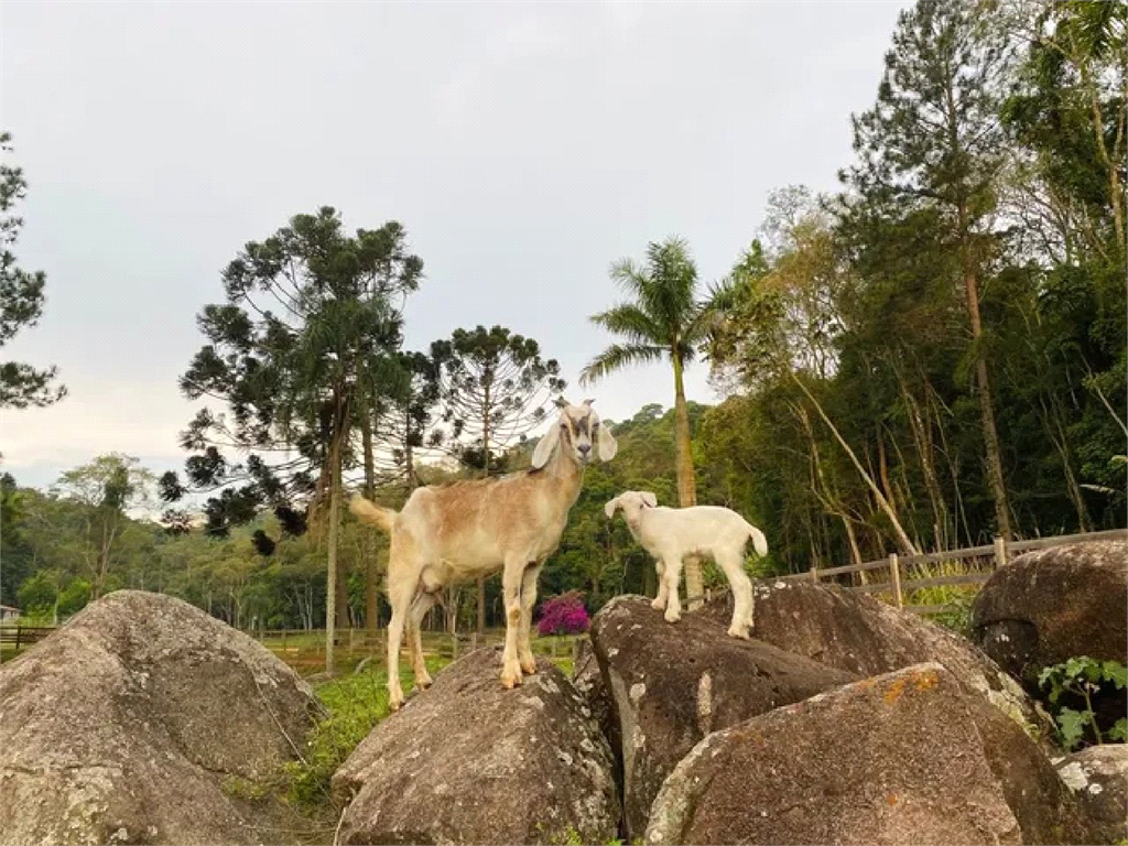 Venda Fazenda São Roque Do Carmo (canguera) REO943026 15